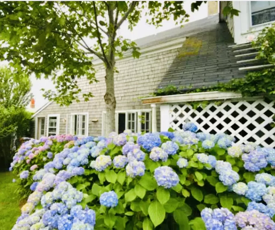 Property Hero image