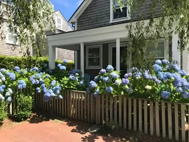 rental property in 103C Orange Street