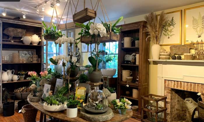 Flowers on Chestnut : Fresh Flowers for Every Ocassion